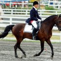 Destrier 1