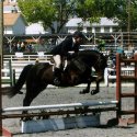 Destrier Jumping