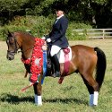 LANCERSHAM2010-049