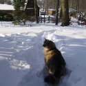 Leo with the barn