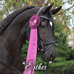 esther_icon